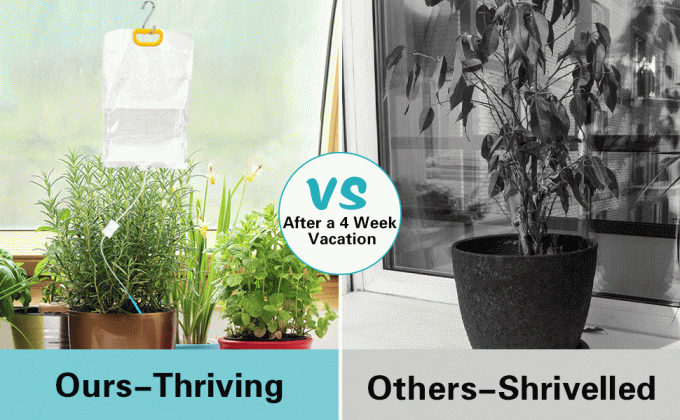 Sistema di auto-irrigazione per piante durante le vacanze, sacca d'acqua per piante IV, dispositivo per l'irrigazione delle piante da interno, kit di irrigazione a goccia per piante in vaso con irrigazione automatica per 30 giorni 1