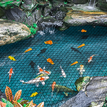 Chicken Coop Predator Proof Apron,Chicken Wire Bottom Predators Resistant,Fence Netting Barrier For Chicken Coop 7