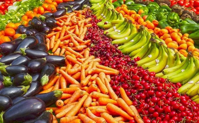 Rete da Giardino, Coperture per Piante 10x33Ft Rete a Maglia Ultra Fine Rete di Protezione per Piante di Ortaggi Frutta Fiori Colture Serra Copertura per Fila Letto Rialzato Barriera Schermo Copertura Protettiva 3