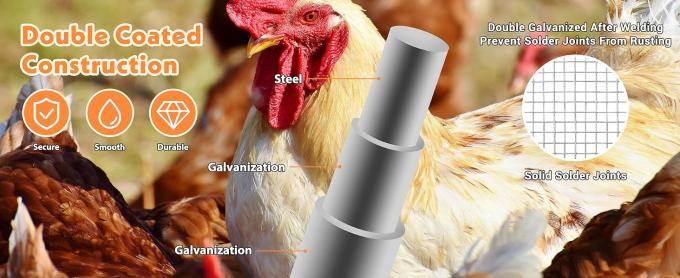 Hardware Cloth Chicken Wire Fencing Hot-Dipped Galvanized Welded Chicken Wire Mesh Roll Metal Fence For Poultry Cage Home Improvement Projects 1