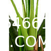 Artificial Banana Tree 6ft Tall 22 Large Leaves Triple Stalk Faux Banana Silk Tree Artificial Banana Leaf Plant