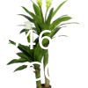 Artificial Agave Plant Potted Plants, Artificial Plant Perfect for Home Office Indoor Decoration