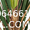 Artificial Agave Plant Potted Plants, Artificial Plant Perfect for Home Office Indoor Decoration