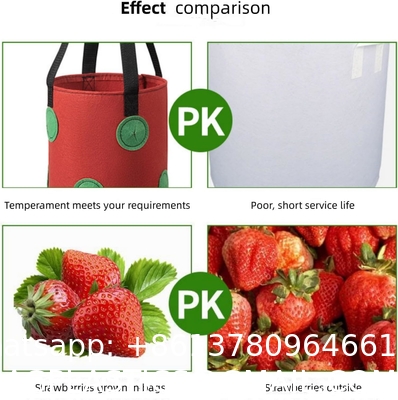 Strawberry Grow Bags, No Gauze Growing Bag, Hole Upside Down Planter Handling Planter Bags, Planting Strawberries