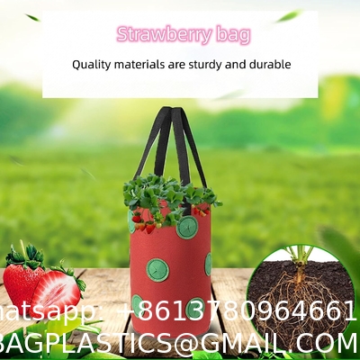 Strawberry Grow Bags, No Gauze Growing Bag, Hole Upside Down Planter Handling Planter Bags, Planting Strawberries