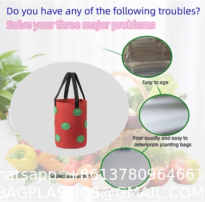 Strawberry Grow Bags, No Gauze Growing Bag, Hole Upside Down Planter Handling Planter Bags, Planting Strawberries