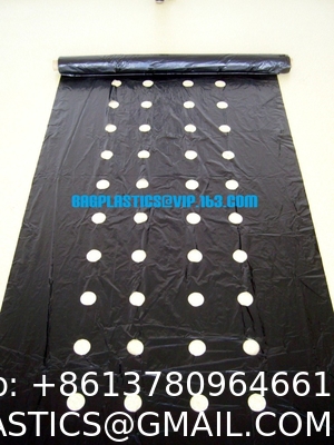 Weed Control Mulch Film, Agriculture Vegetable Black PE Films, 5 Holes Greenhouse Perforated Film
