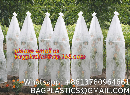 Transparent Low Tunnel Film Perforated For Culture Of Seedling Maturing Vegetables perforated red plastic mulch