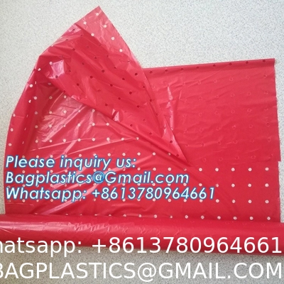 Pe Mulch Film With Holes For Agriculture Perforated Red Plastic Mulch For Peppers Crop Cover For Tomatoes