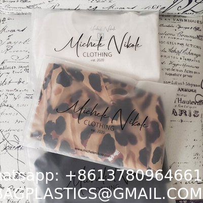 Wholesale Custom Printing Logo Plastic Zip Packaging Poly Bags Biodegradable Frosted Eva Zipper Bag Clothing Brand
