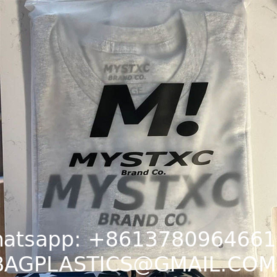 Wholesale Custom Printing Logo Plastic Zip Packaging Poly Bags Biodegradable Frosted Eva Zipper Bag Clothing Brand