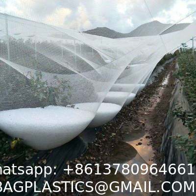 Anti Hail Net Agriculture Mesh HDPE Apple Tree Garden Hail Proof Netting Polyethylene Cheap Price Hail Guard Net Car Hail Protection Net Anti-Insect Hail Netting for Agricultural Apple Trees