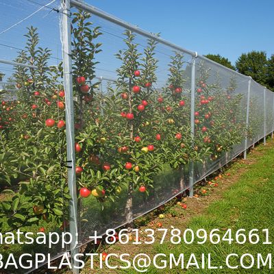 Anti Hail Net Agriculture Mesh HDPE Apple Tree Garden Hail Proof Netting Polyethylene Cheap Price Hail Guard Net Car Hail Protection Net Anti-Insect Hail Netting for Agricultural Apple Trees