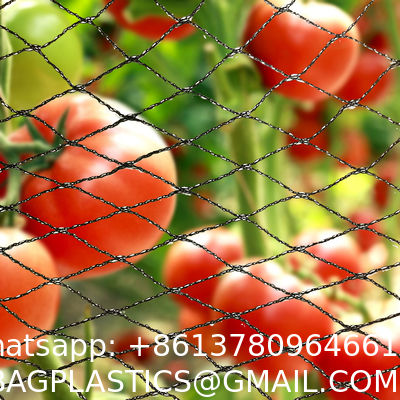 Durable Anti-Bird Trapping HDPE Netting PE Vineyard New Material Bee-Free For Winery Garden Farm & Hunting