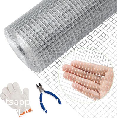 Hardware Cloth Chicken Wire Fencing Hot-Dipped Galvanized Welded Chicken Wire Mesh Roll Metal Fence For Poultry Cage Home Improvement Projects