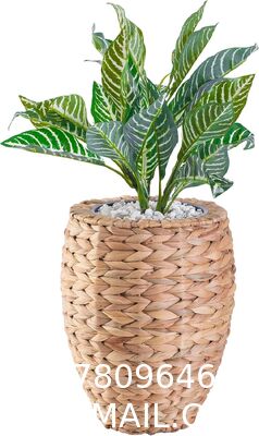 Water Hyacinth Wicker Planter Basket, Small Round Woven Basket For Plants With Metal Pot, Indoor Wicker Plant Pot Eco-Friendly Water Hyacinth Woven Plant Pot – Round Basket with Inner Saucer, Deco