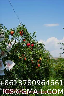 Custom Fruit Protection Bags Double-Layer Thickened Paper Bags Universal For Pear & Apple Trees Factory Wholesale Protection Bags Sunproof, Insect & Disease Resistant