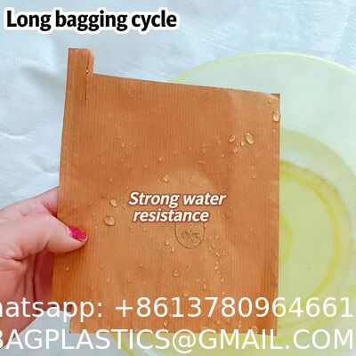 Custom Fruit Protection Bags Double-Layer Thickened Paper Bags Universal For Pear & Apple Trees Factory Wholesale Protection Bags Sunproof, Insect & Disease Resistant