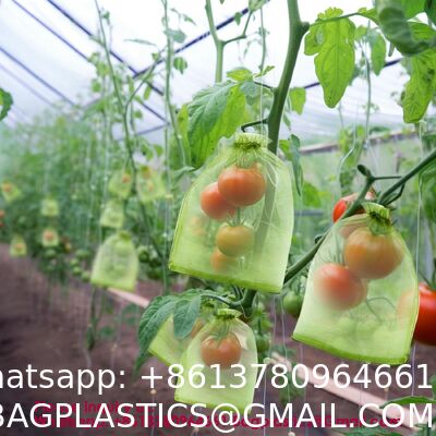 Fruit Protection Bags, Fruit Bags For Fruit Trees, Green Netting Fruit Cover Bags Drawstring Mesh Fruit Protectors Pest Barrier For Fruit Trees Veggies Garden