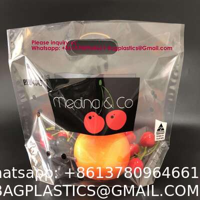 Factory Price Coated Mango Fruit Growing Paper Bag Waterproof Mango Protection Paper Bag Fresh Fruit Stand up Pouch Stand up Pouch Disposable Plastic Ziplock Packaging Bags for Fruit and Vegetable