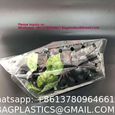 Factory Price Coated Mango Fruit Growing Paper Bag Waterproof Mango Protection Paper Bag Fresh Fruit Stand up Pouch Stand up Pouch Disposable Plastic Ziplock Packaging Bags for Fruit and Vegetable